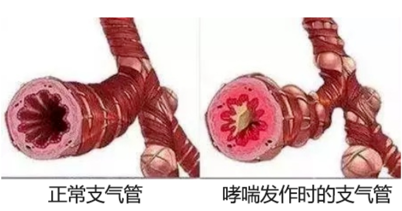 &#24320;&#20113;&#40;&#20013;&#22269;&#41;&#75;&#97;&#105;&#121;&#117;&#110;